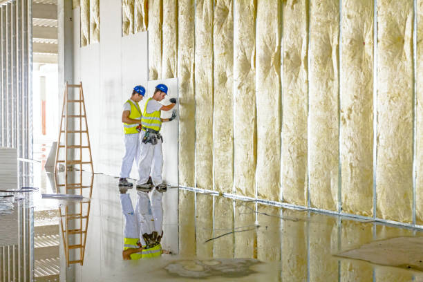 Best Fireproof Insulation  in Dimmitt, TX