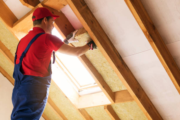 Best Eco-Friendly or Green Insulation Solutions  in Dimmitt, TX